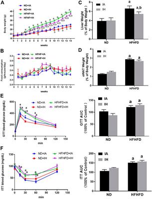 Improvement of obesity-induced fatty liver disease by intermittent hypoxia exposure in a murine model